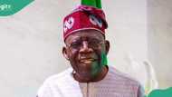 Victorious Tinubu celebrates tribunal’s judgement affirming his election, video goes viral