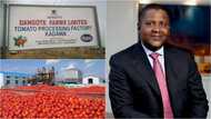 Dangote ya bude kamfanin sarrafa tumatir da yafi girma a nahiyar Afirka a Kano