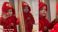 Little kid reacts pricelessly as he sees himself in mirror for the first time