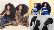 Identical twin sisters with long locks become famous, get paid for their hair, break the internet with amazing photos