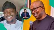 “Reasons VDM is more useful than Peter Obi”: Tinubu’s aide fires shots at ex-gov in new interview