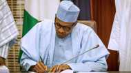 BREAKING: Buhari suspends Ruga settlement project