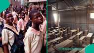 Africa’s education emergency: Why the clock is ticking toward extinction, by Emmanuel Ezeoka