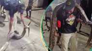 “It was ready to attack”: Panic as python is killed in Lagos estate