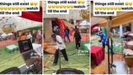 "Dem go try the gods": Drama at Anambra wedding as bees attack guests, people run for their lives in video