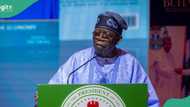 New minimum wage in Nigeria: Tinubu makes fresh pledge, details emerge