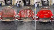 "The owner has passed away": Man brings out dirty car packed since 31 years ago, cleans it up in viral video