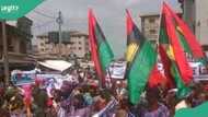 IPOB ta zargi gwamnati da goyon bayan nunawa Ibo wariya, ta kawo batun ballewa daga Najeriya