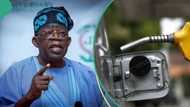 Tsohon shugaban NESG ya faɗi kuskuren Tinubu da ya jefa ƴan Najeriya cikin wahala