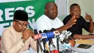 Court of Appeal affirms Ifeanyi Ubah as senator-elect in Anambra