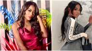 E remain 7 of us: Davido’s 1st baby mama Sophia Momodu raises alarm over scarcity of natural backside in Lagos