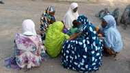 Katsina: Ƴan Sanda Sun Kama Ƴan Ta'adda 2, Sun Ceto Mutum 10 Da Aka Yi Garkuwa Da Su