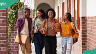 Apply: Germany invites Nigerian applicants for fully-funded scholarship