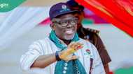 Jubilation as PDP sweeps LG poll, clears all 25 seats in Delta