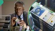 Ex-finance Minister, Olusegun Aganga explains solution to weak Nigerian currency as naira continues to fall