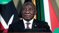 Full list of African countries whose citizens can visit South Africa without a visa in 2026