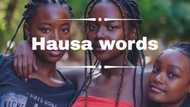 21 native Hausa words and phrases and their meaning in English