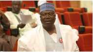 Senate presidency: Lawan is a detribalised, bi-partisan Nigerian - Niger senators make strong case for colleague