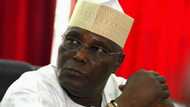 Kotu ta bada umurnin kama ɗan Atiku Abubakar