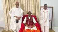 Olu of Warri: Emiko gifts himself Rolls Royce, 2021 Bentley worth millions of Naira as he prepares for colourful coronation