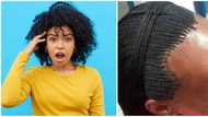 She is actually laughing away her edges: Photo of woman with tiny braids goes viral online