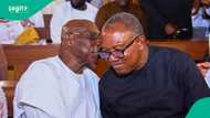 Peter Obi and Olusegun Obasanjo hold strategic closed-door meeting ahead of 2027 elections