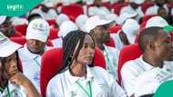 Former N-Power beneficiaries drag APC govt to court, demand N5 billion