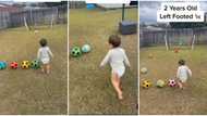 "Real football": Skilled 2-year-old boy uses left foot to score multiple goals, video trends online