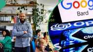 3 Nigerian startups make the cut as Google selects 11 firms using AI to solve challenges