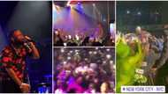 Davido jumps into crowd as 'oyinbo' fans storm his New York show, sing Timeless songs word for word in videos