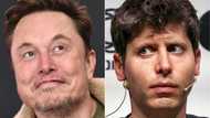 Musk's xAI sues Apple, OpenAI alleging antitrust violations