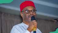 “UNN never issued me degree certificate”: Tinubu’s minister finally confesses