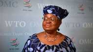 Okonjo-Iweala accepts apology from Swiss newspaper over 'grandmother' remarks