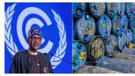 In five years, Nigeria earned $1195.11 billion exporting crude oil