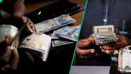 N1,338: CBN releases new exchange rates as naira gains against dollar