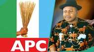 APC suspends ex-Bayelsa deputy governor, 6 others indefinitely, details emerge