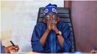 May 29: What APC should do before Tinubu's inauguration, top political analyst reveals