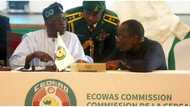 Breaking: Tinubu in meeting with key ECOWAS stakeholders, Ribadu, over Niger coup