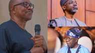 2023 presidency: More election drama plays out as Tinubu loses to Obi in Gbajabiamila's polling unit