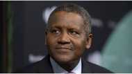 Aliko Dangote's sugar business made him N13billion richer in twelve months
