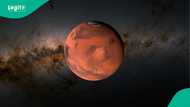 Meteorite from mars sold for $4.3m sparks outcry over Niger’s cultural heritage