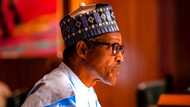 Yadda cikin sati 2 Buhari ya magance matsalolin APC yayin da rashin tsaro ke cigaba