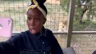 "She was never ready": Girl taking selfie in zoo gets interrupted by curious lion; video causes reactions