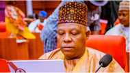 10th Senate: ‘It’s desperation,’ northern elders caution Shettima against ‘imposition’ of leadership