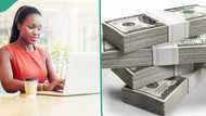 "We are hiring at Siemens": Lady posts 3 lucrative tech jobs paying $100,000 yearly as application opens