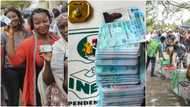 2023 Polls: Have PVC, Know Your Polling Unit and More Tips You Need to Vote