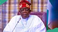 Muhimman matakai 6 da aka dauka da Tinubu ya zauna da Gwamnoni a Aso Villa