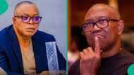 "I hate Peter Obi": Edo APC chairman declares, insists on security clearance before visit