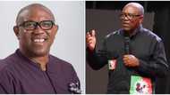 “Present Nigeria's discomforting situation to Allah”: Peter Obi sends message to Muslim faithful