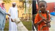 B-Red's Pet snake, 3 other Nigerian celebs with love for wild animals
